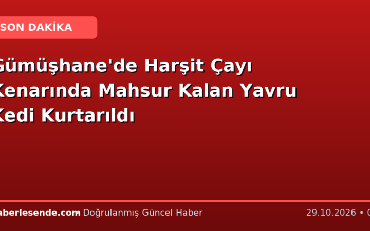 Gümüşhane'de Harşit Çayı Kenarında Mahsur Kalan Yavru Kedi Kurtarıldı