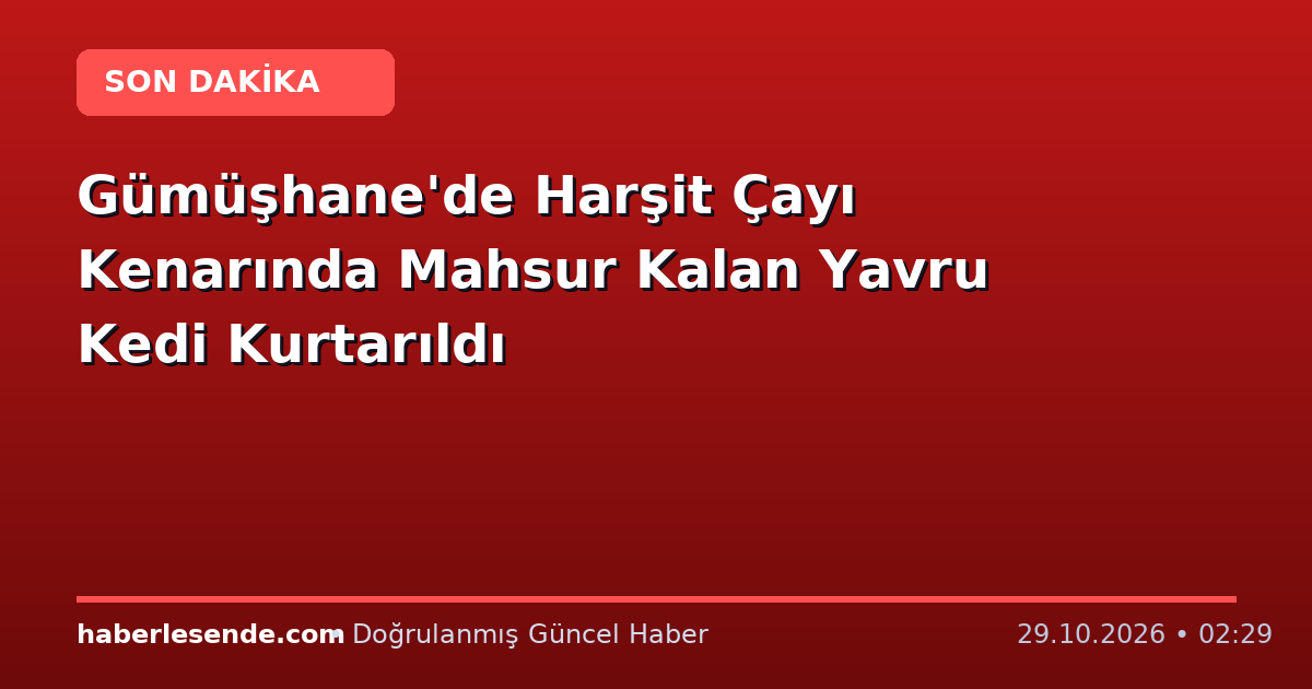 Gümüşhane'de Harşit Çayı Kenarında Mahsur Kalan Yavru Kedi Kurtarıldı