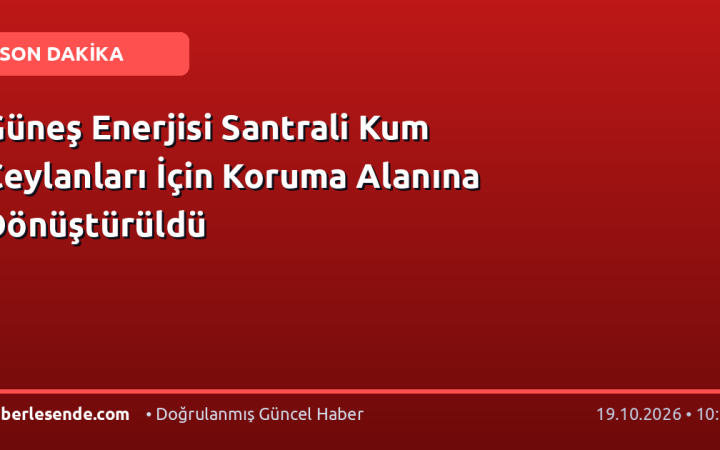 Güneş Enerjisi Santrali Kum Ceylanları İçin Koruma Alanına Dönüştürüldü
