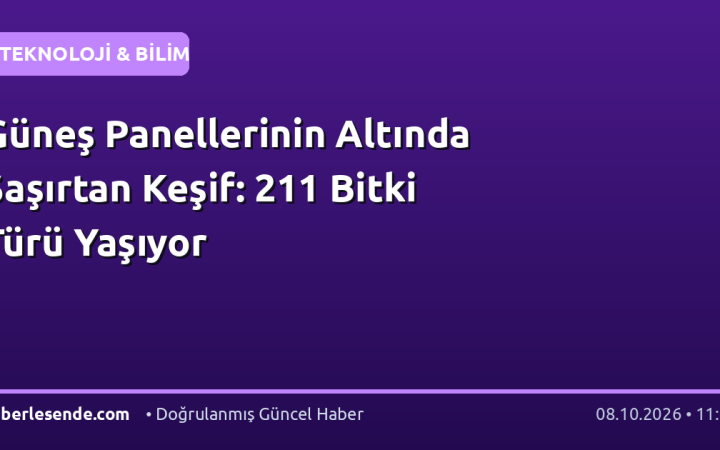 Güneş Panellerinin Altında Şaşırtan Keşif: 211 Bitki Türü Yaşıyor