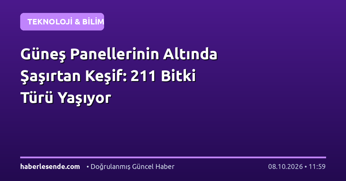Güneş Panellerinin Altında Şaşırtan Keşif: 211 Bitki Türü Yaşıyor