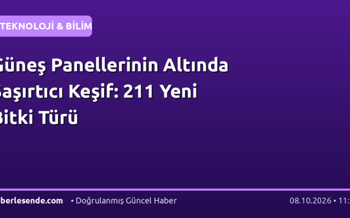 Güneş Panellerinin Altında Şaşırtıcı Keşif: 211 Yeni Bitki Türü