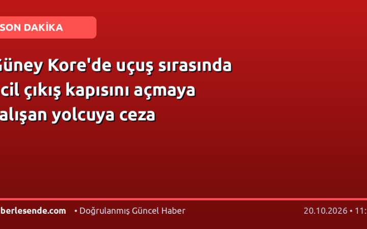 Güney Kore'de uçuş sırasında acil çıkış kapısını açmaya çalışan yolcuya ceza