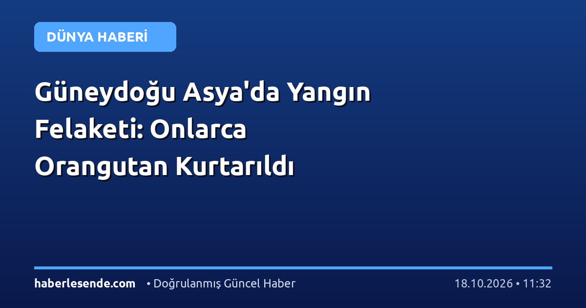 Güneydoğu Asya'da Yangın Felaketi: Onlarca Orangutan Kurtarıldı