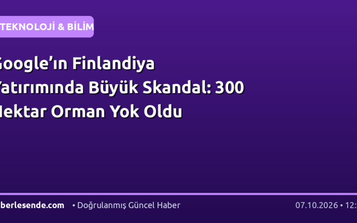Google’ın Finlandiya Yatırımında Büyük Skandal: 300 Hektar Orman Yok Oldu