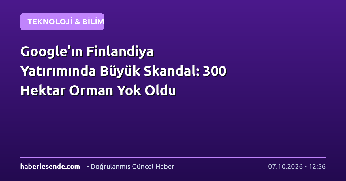 Google’ın Finlandiya Yatırımında Büyük Skandal: 300 Hektar Orman Yok Oldu