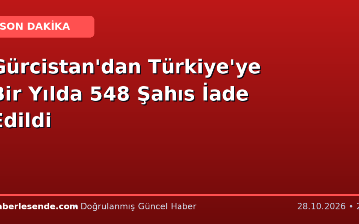 Gürcistan'dan Türkiye'ye Bir Yılda 548 Şahıs İade Edildi
