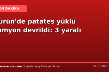 Gürün'de patates yüklü kamyon devrildi: 3 yaralı