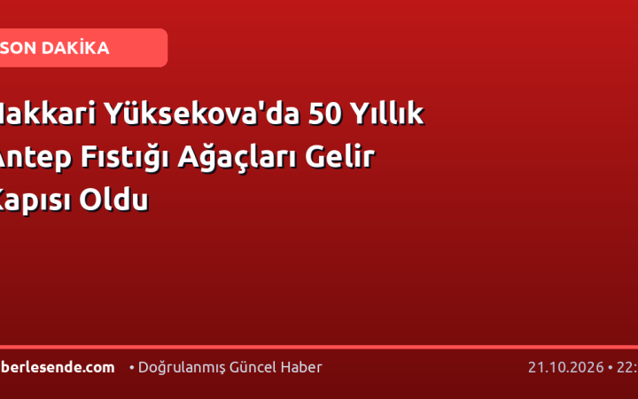 Hakkari Yüksekova'da 50 Yıllık Antep Fıstığı Ağaçları Gelir Kapısı Oldu