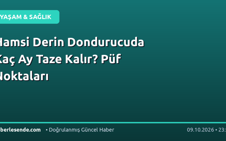 Hamsi Derin Dondurucuda Kaç Ay Taze Kalır? Püf Noktaları