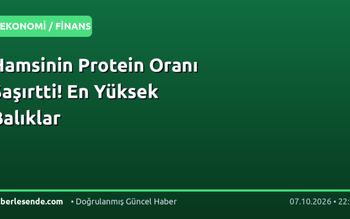 Hamsinin Protein Oranı Şaşırtti! En Yüksek Balıklar