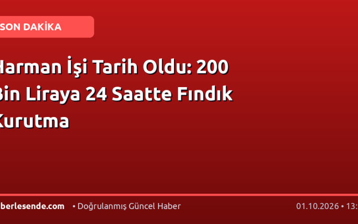 Harman İşi Tarih Oldu: 200 Bin Liraya 24 Saatte Fındık Kurutma