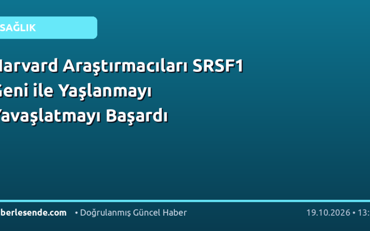Harvard Araştırmacıları SRSF1 Geni ile Yaşlanmayı Yavaşlatmayı Başardı