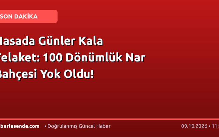Hasada Günler Kala Felaket: 100 Dönümlük Nar Bahçesi Yok Oldu!