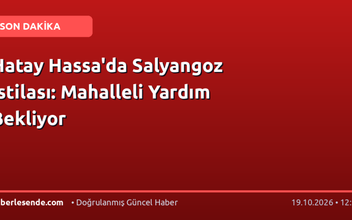 Hatay Hassa'da Salyangoz İstilası: Mahalleli Yardım Bekliyor