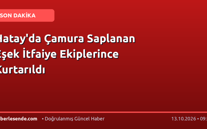 Hatay'da Çamura Saplanan Eşek İtfaiye Ekiplerince Kurtarıldı