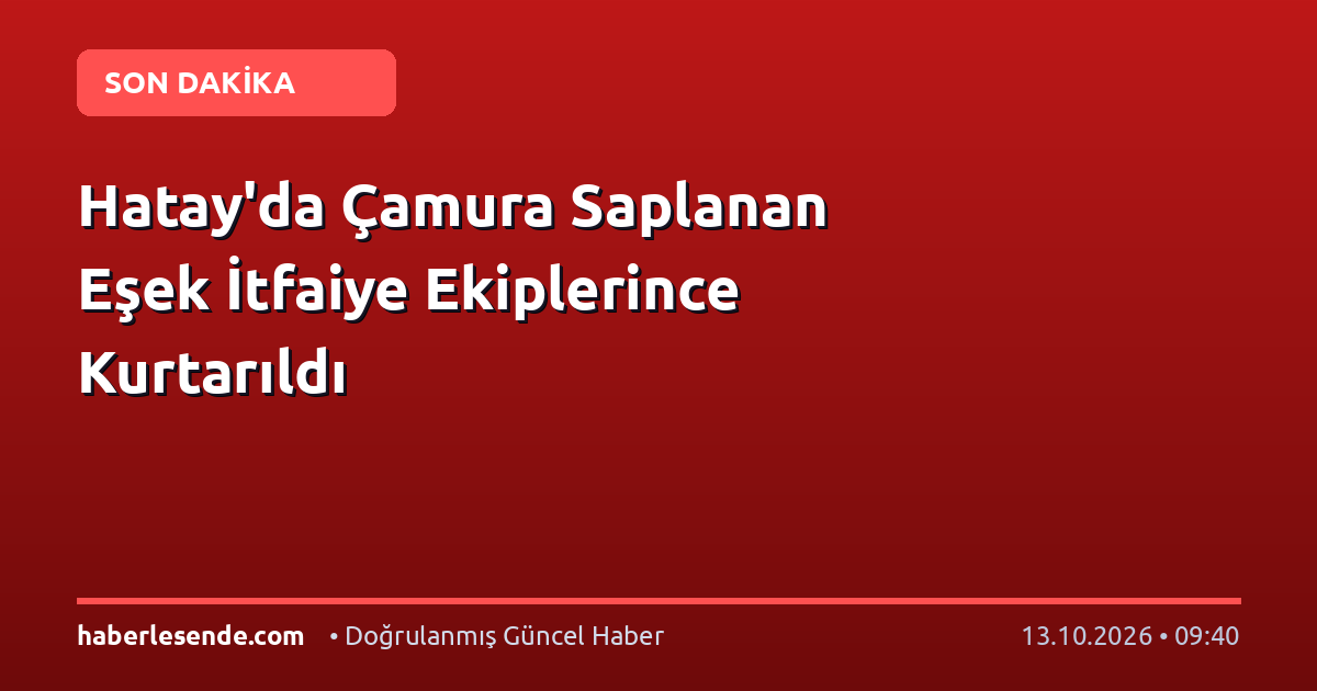 Hatay'da Çamura Saplanan Eşek İtfaiye Ekiplerince Kurtarıldı