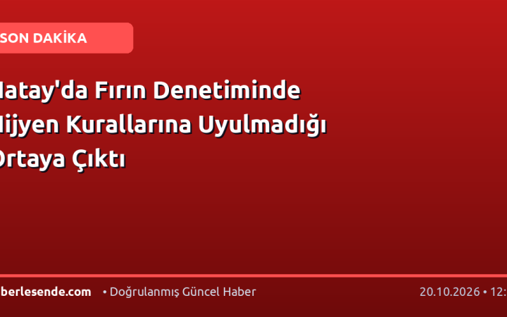 Hatay'da Fırın Denetiminde Hijyen Kurallarına Uyulmadığı Ortaya Çıktı