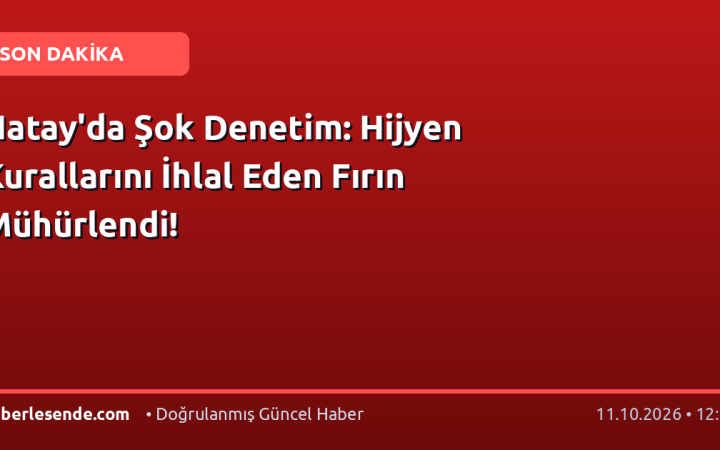 Hatay'da Şok Denetim: Hijyen Kurallarını İhlal Eden Fırın Mühürlendi!