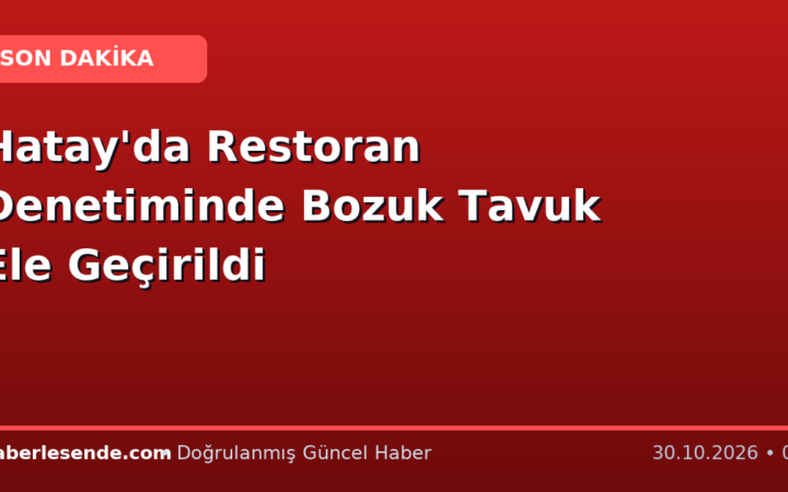 Hatay'da Restoran Denetiminde Bozuk Tavuk Ele Geçirildi
