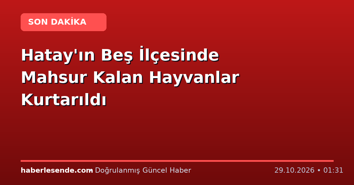 Hatay'ın Beş İlçesinde Mahsur Kalan Hayvanlar Kurtarıldı