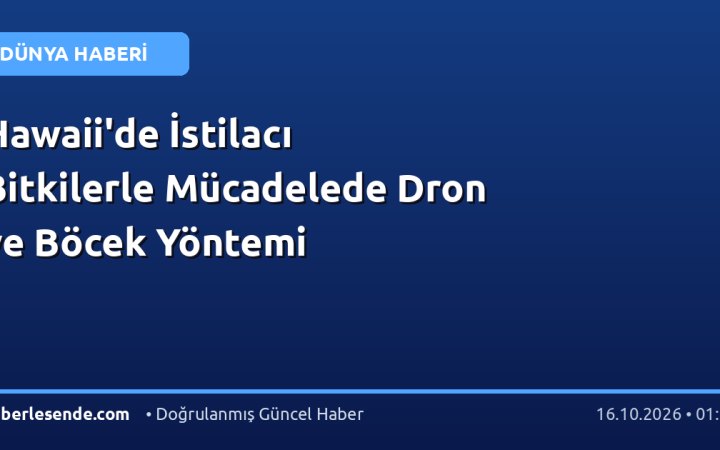 Hawaii'de İstilacı Bitkilerle Mücadelede Dron ve Böcek Yöntemi