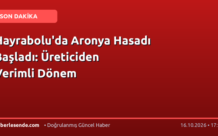 Hayrabolu'da Aronya Hasadı Başladı: Üreticiden Verimli Dönem
