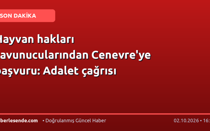 Hayvan hakları savunucularından Cenevre'ye başvuru: Adalet çağrısı