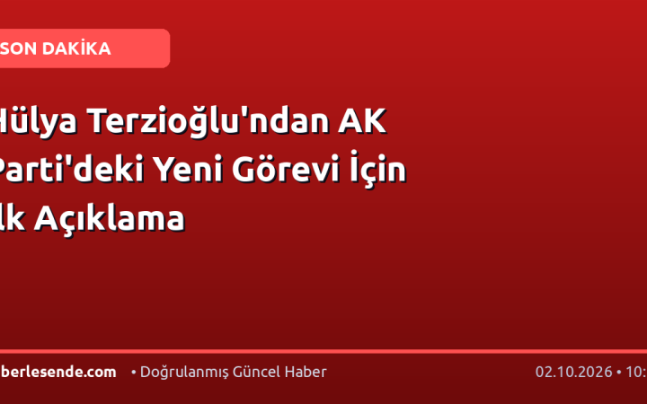 Hülya Terzioğlu'ndan AK Parti'deki Yeni Görevi İçin İlk Açıklama