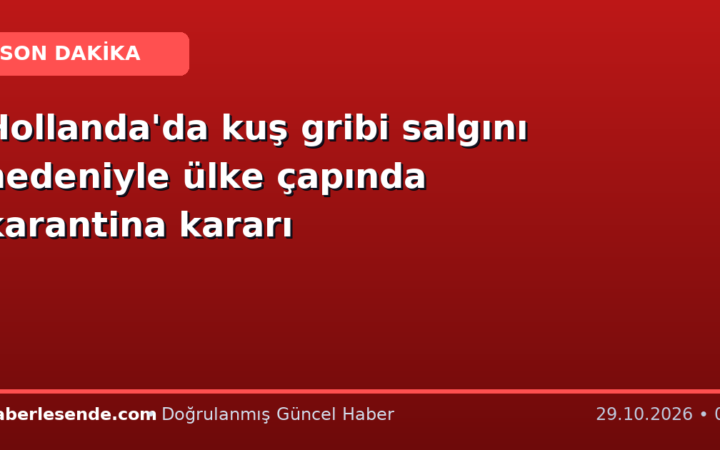 Hollanda'da kuş gribi salgını nedeniyle ülke çapında karantina kararı