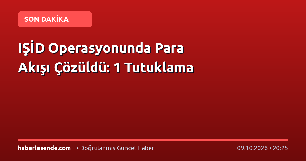 IŞİD Operasyonunda Para Akışı Çözüldü: 1 Tutuklama