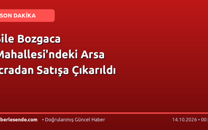 Şile Bozgaca Mahallesi'ndeki Arsa İcradan Satışa Çıkarıldı