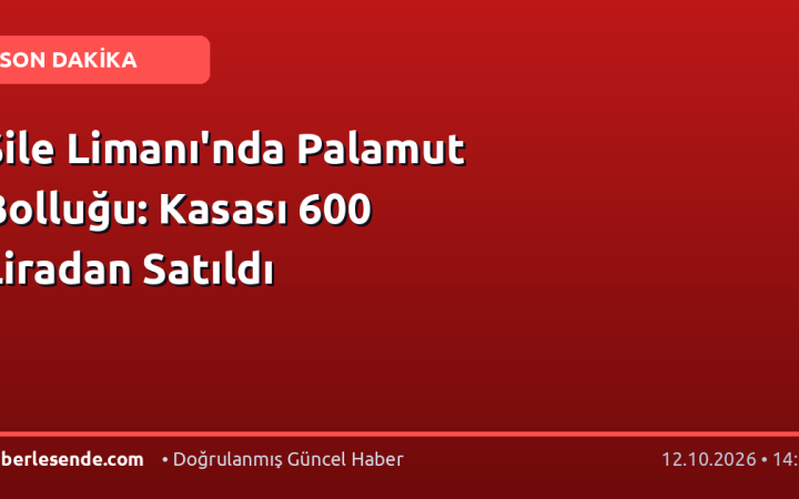Şile Limanı'nda Palamut Bolluğu: Kasası 600 Liradan Satıldı