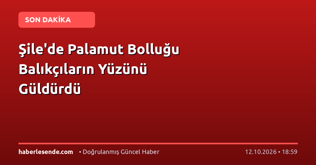 Şile'de Palamut Bolluğu Balıkçıların Yüzünü Güldürdü