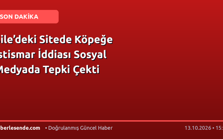 Şile’deki Sitede Köpeğe İstismar İddiası Sosyal Medyada Tepki Çekti