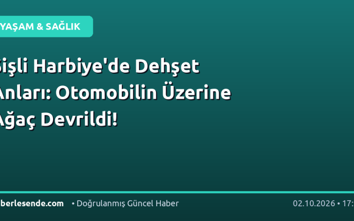 Şişli Harbiye'de Dehşet Anları: Otomobilin Üzerine Ağaç Devrildi!