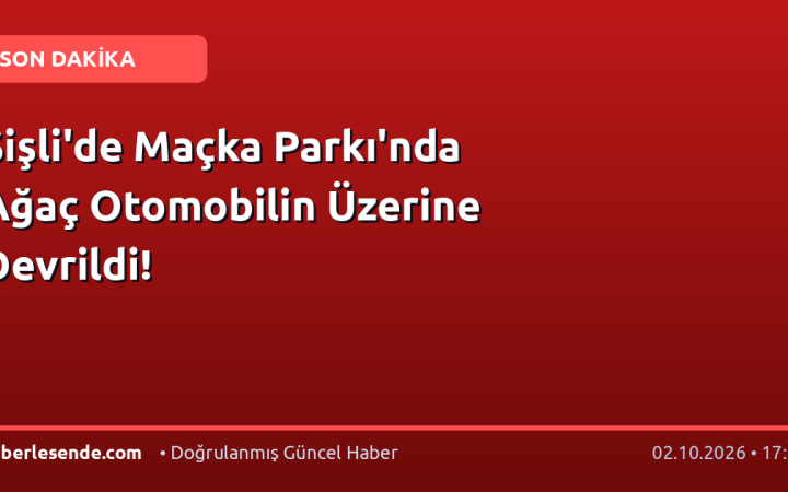 Şişli'de Maçka Parkı'nda Ağaç Otomobilin Üzerine Devrildi!