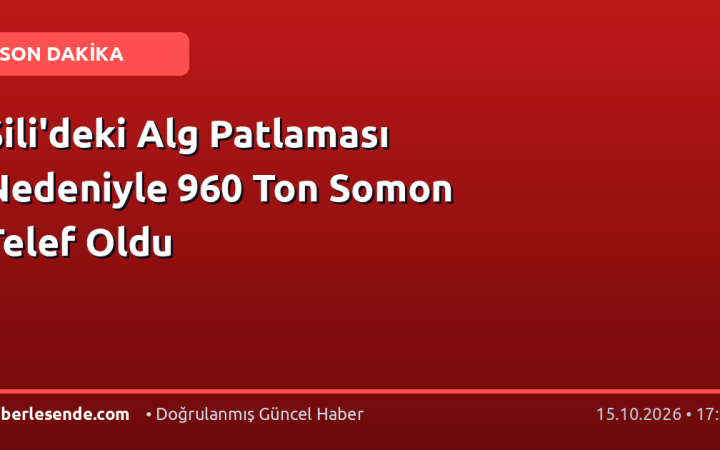 Şili'deki Alg Patlaması Nedeniyle 960 Ton Somon Telef Oldu