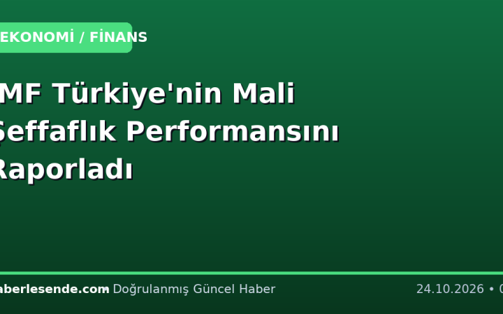 IMF Türkiye'nin Mali Şeffaflık Performansını Raporladı