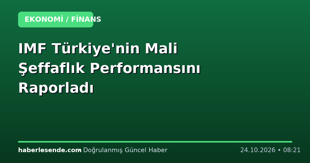 IMF Türkiye'nin Mali Şeffaflık Performansını Raporladı
