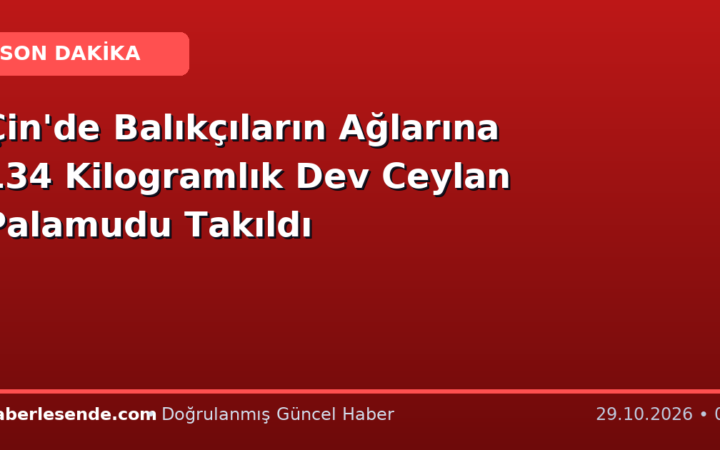 Çin'de Balıkçıların Ağlarına 134 Kilogramlık Dev Ceylan Palamudu Takıldı