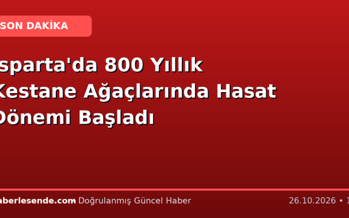 Isparta'da 800 Yıllık Kestane Ağaçlarında Hasat Dönemi Başladı