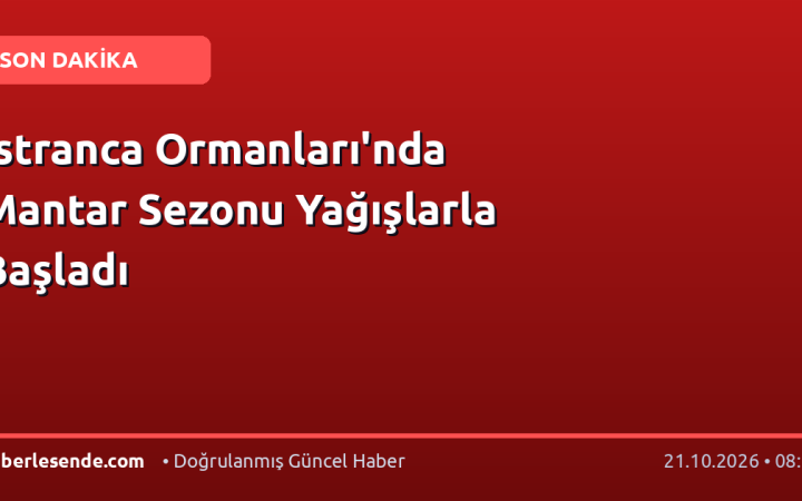 Istranca Ormanları'nda Mantar Sezonu Yağışlarla Başladı