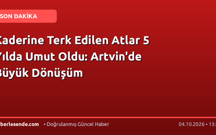 Kaderine Terk Edilen Atlar 5 Yılda Umut Oldu: Artvin'de Büyük Dönüşüm