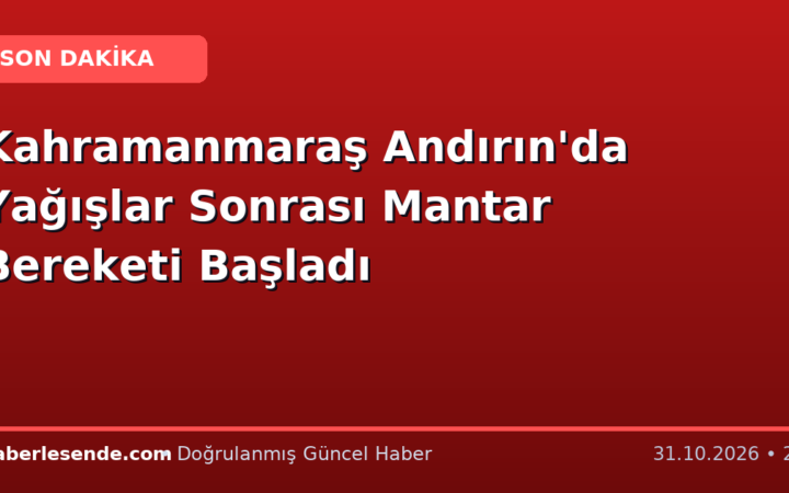 Kahramanmaraş Andırın'da Yağışlar Sonrası Mantar Bereketi Başladı