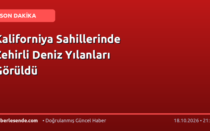 Kaliforniya Sahillerinde Zehirli Deniz Yılanları Görüldü