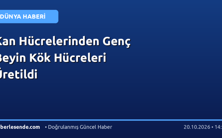 Kan Hücrelerinden Genç Beyin Kök Hücreleri Üretildi