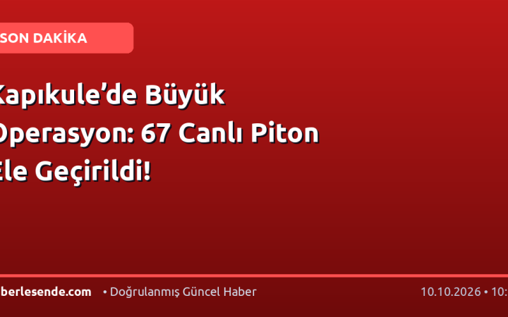 Kapıkule’de Büyük Operasyon: 67 Canlı Piton Ele Geçirildi!
