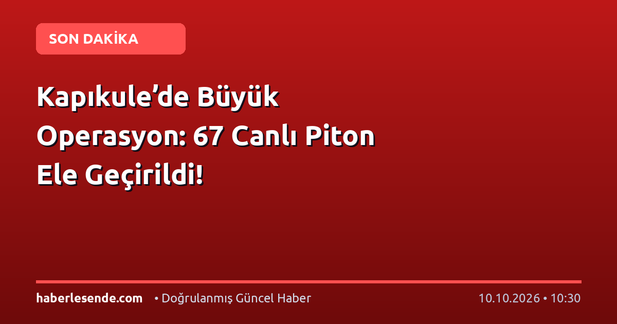 Kapıkule’de Büyük Operasyon: 67 Canlı Piton Ele Geçirildi!