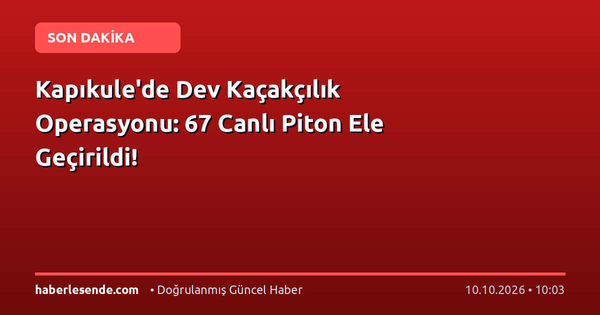 Kapıkule'de Dev Kaçakçılık Operasyonu: 67 Canlı Piton Ele Geçirildi!